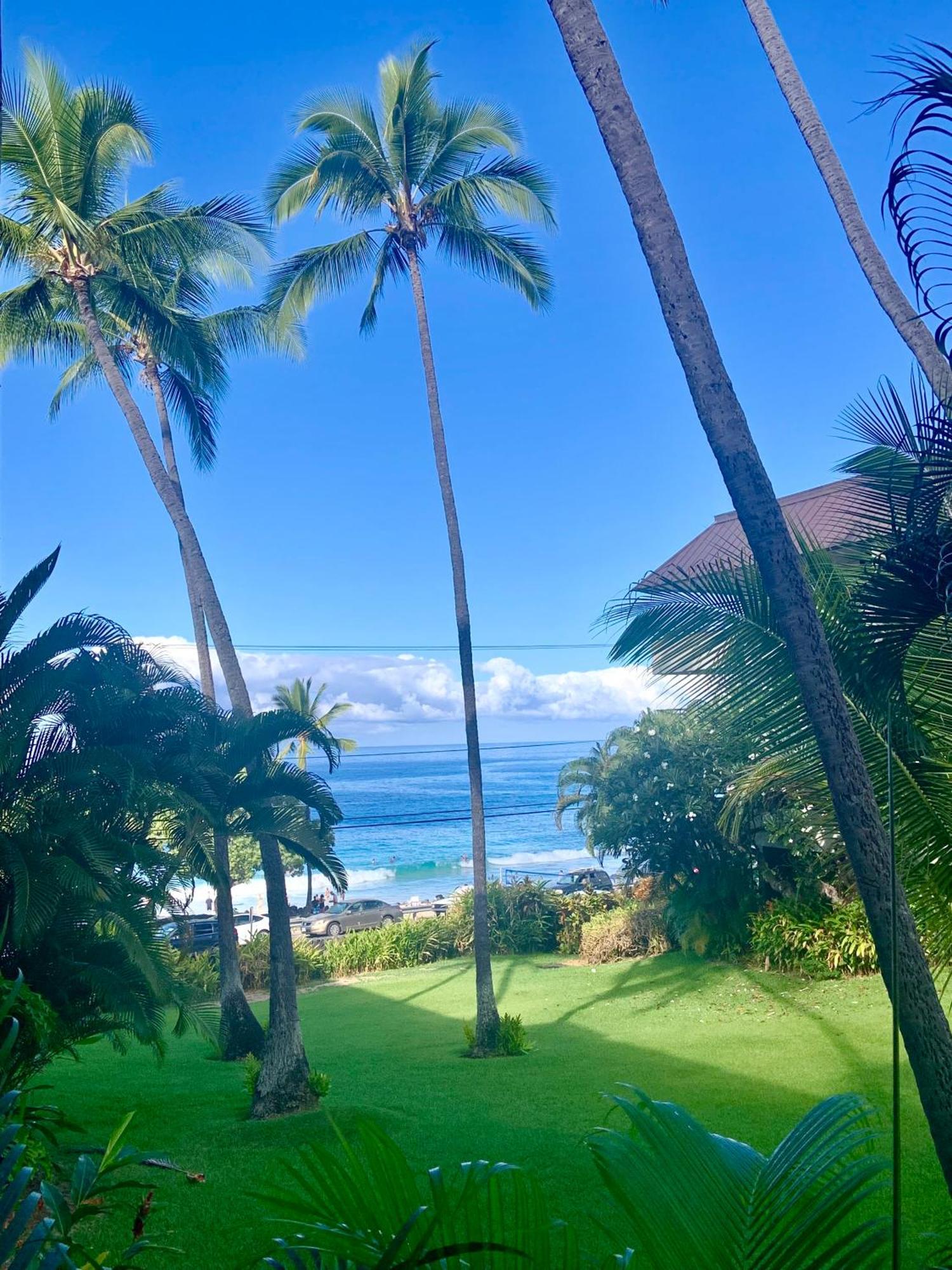 Magic Sands Beach View, 2B2B, Ac, Pool, Sleeps 6 Kailua-Kona Exteriör bild